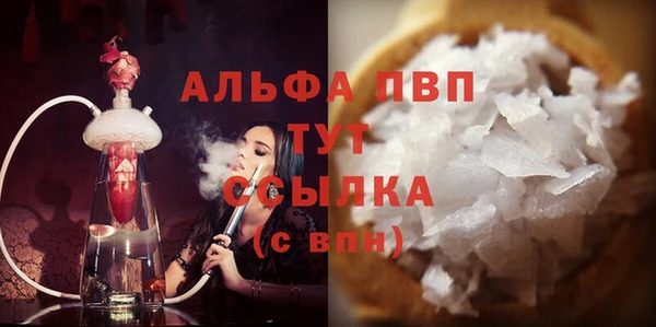 прущие грибы Аркадак