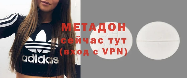 прущие грибы Аркадак