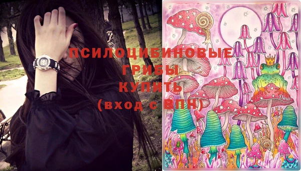герыч Арсеньев