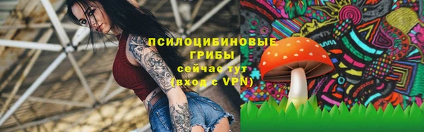 герыч Арсеньев