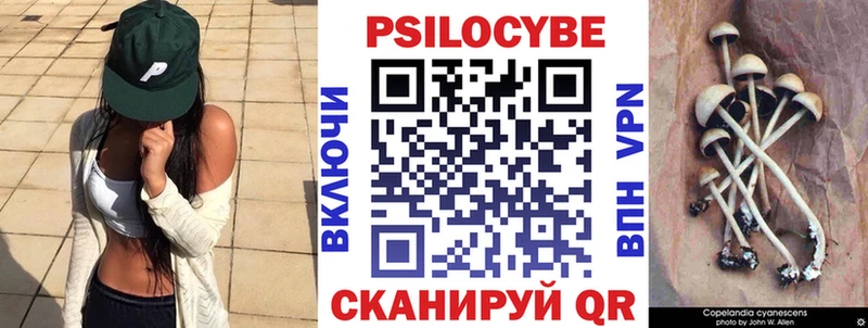 купить наркоту  Чистополь  Галлюциногенные грибы GOLDEN TEACHER 