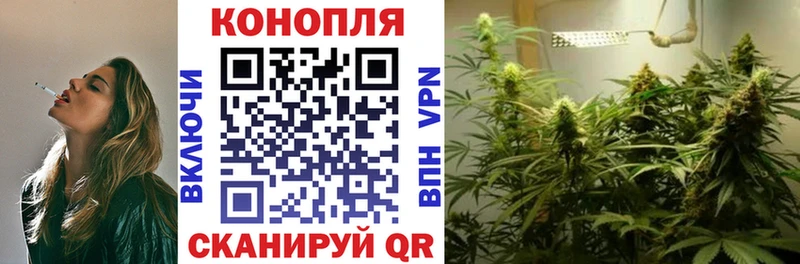 Бошки Шишки VHQ  маркетплейс наркотические препараты  Чистополь 
